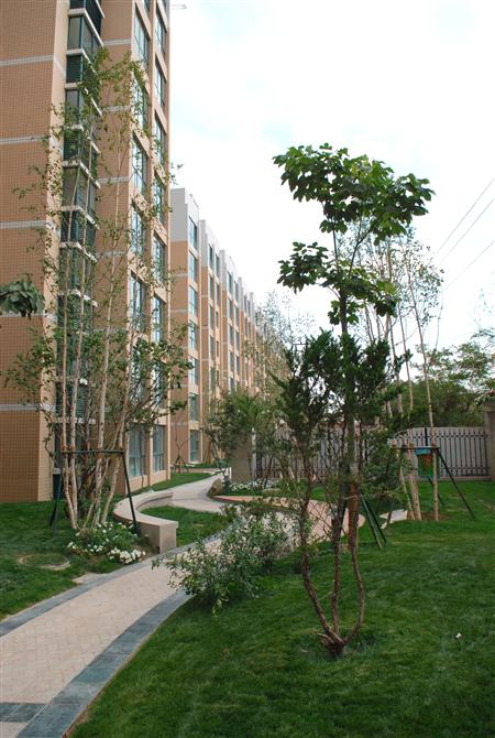 797966金沙娱场城嘉园二期局部景观雏形鉴赏（亲景实拍）